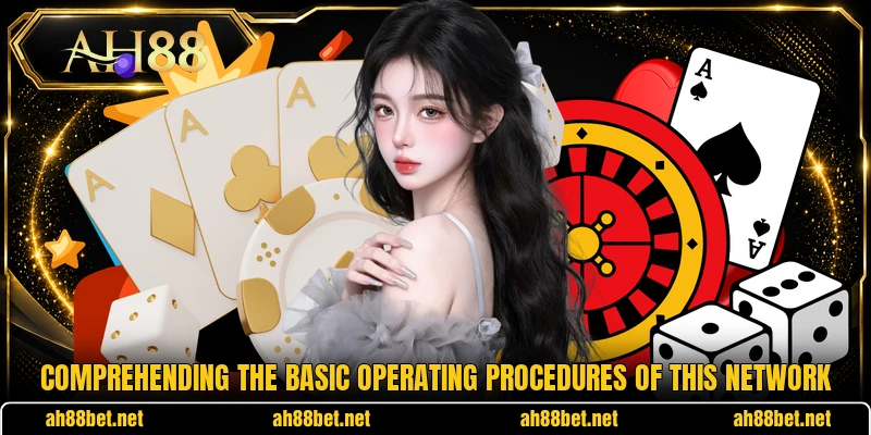 Comprehending the basic operating procedures of this network