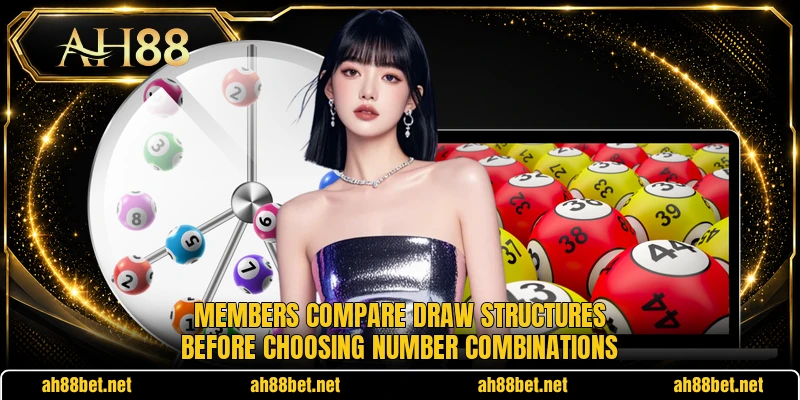 Members compare draw structures before choosing number combinations