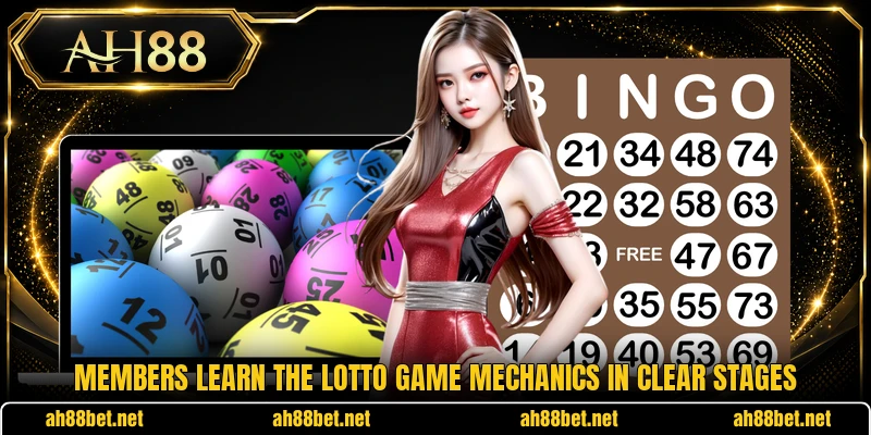 Members learn the lotto game mechanics in clear stages