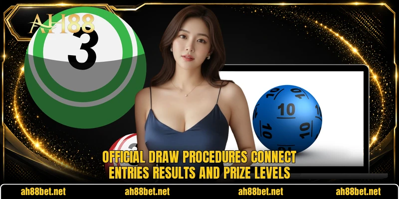 Official draw procedures connect entries results and prize levels