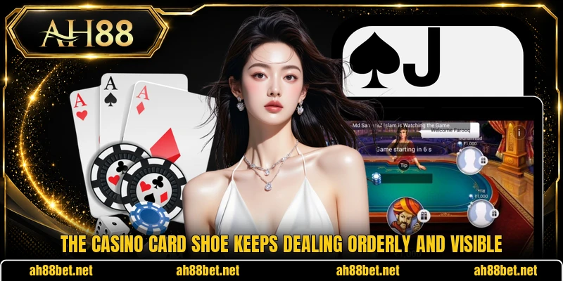 The casino card shoe keeps dealing orderly and visible
